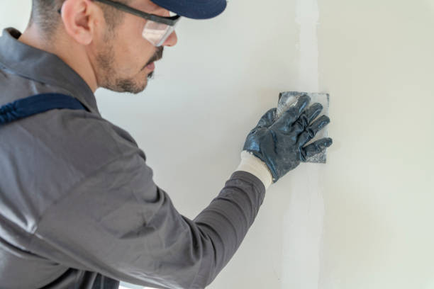 Mold Odor Removal Services in Kountze, TX
